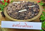 ตรีผลาแคปซูล