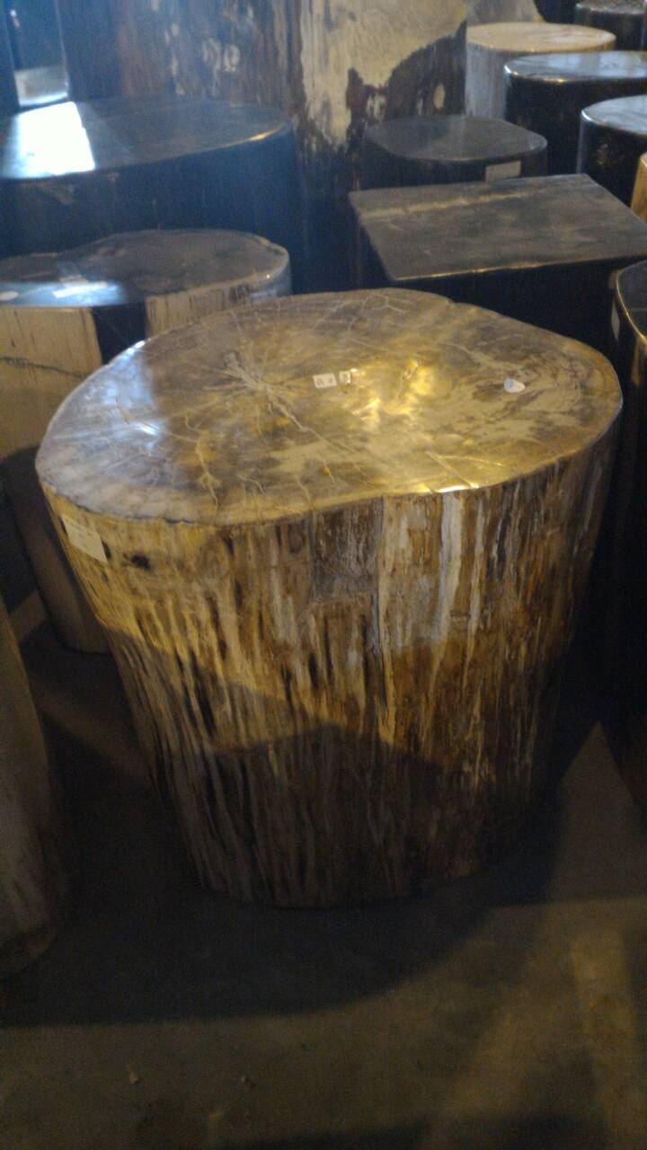 Pretrified wood Item Code PTW001E size weight 115 kg.